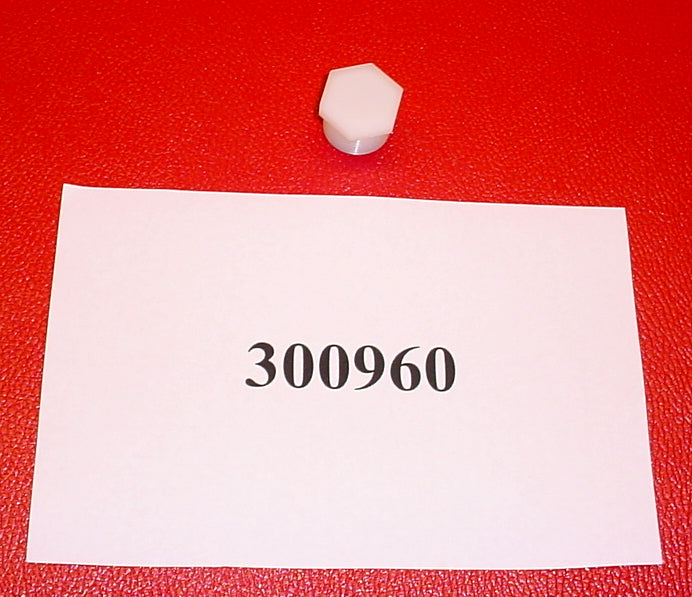 FITTING - MPT PLUG 3/4 in TP4012