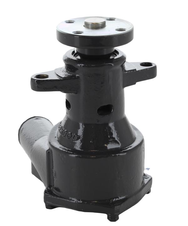 RAW WATER PUMP ASSEMBLY