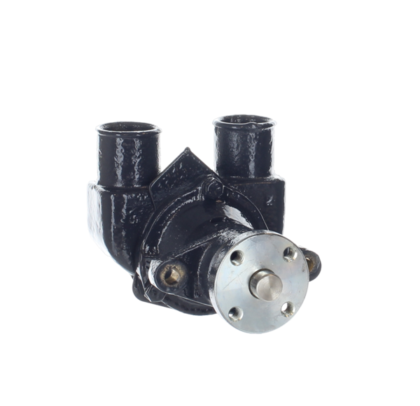 Raw Water Pump Assembly