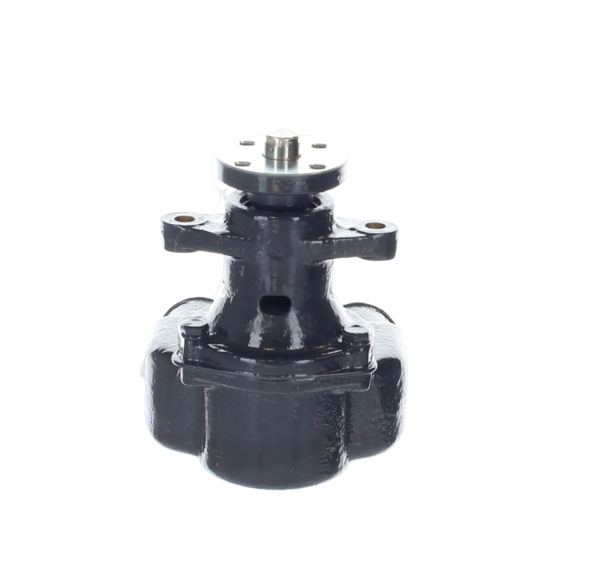 Raw Water Pump Assembly