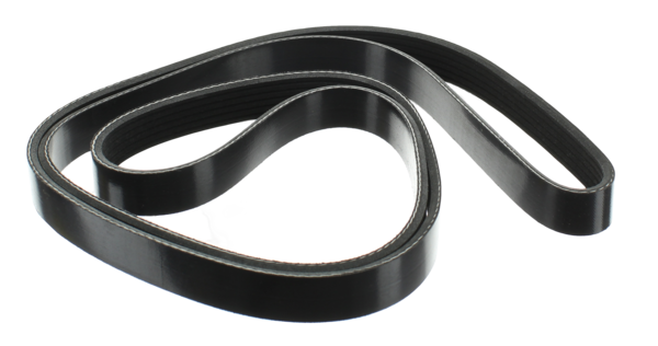 Front Accessory Drive Belt