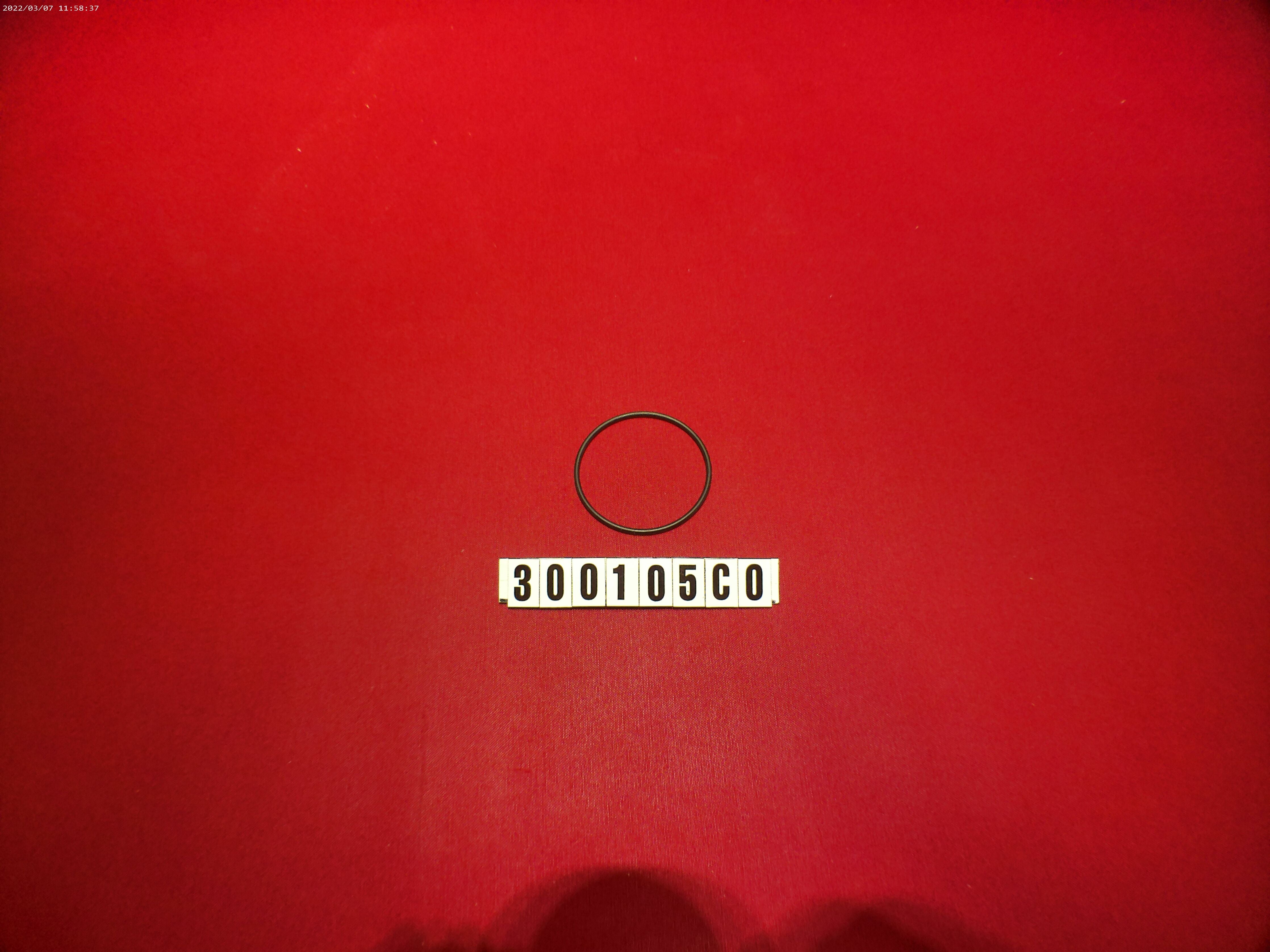 PUMP BALLAST- COVER O-RING FOR 300105 PUMP 13.7 GPM