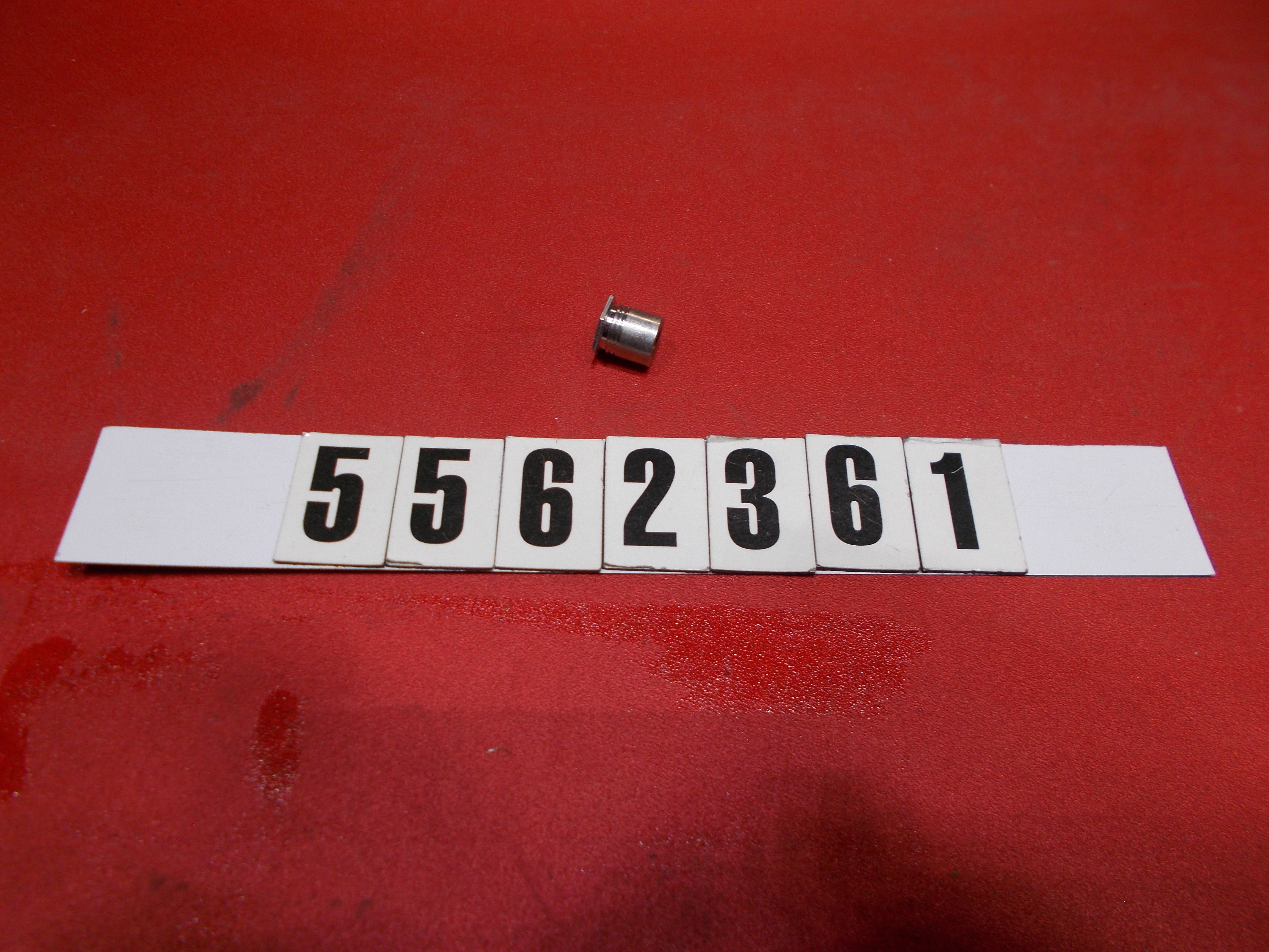 DOOR- ACRYLIC WALK THRU HINGE HARDWARE