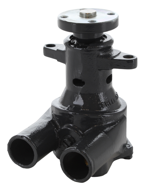 Raw Water Pump Assembly