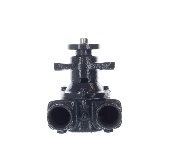 Raw Water Pump Assembly