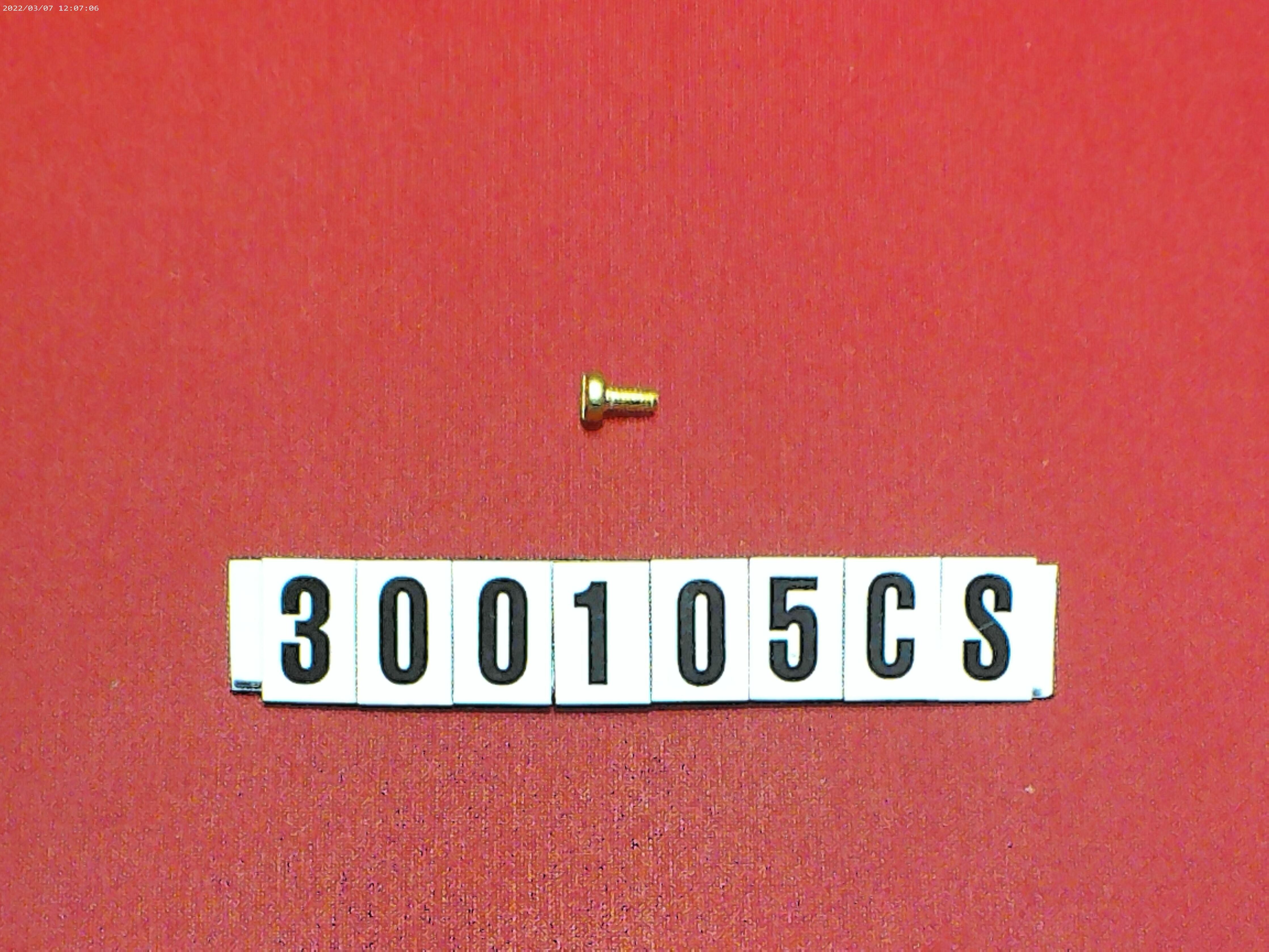 PUMP BALLAST- COVER SCREWS FOR 300105 PUMP 13.7 GPM