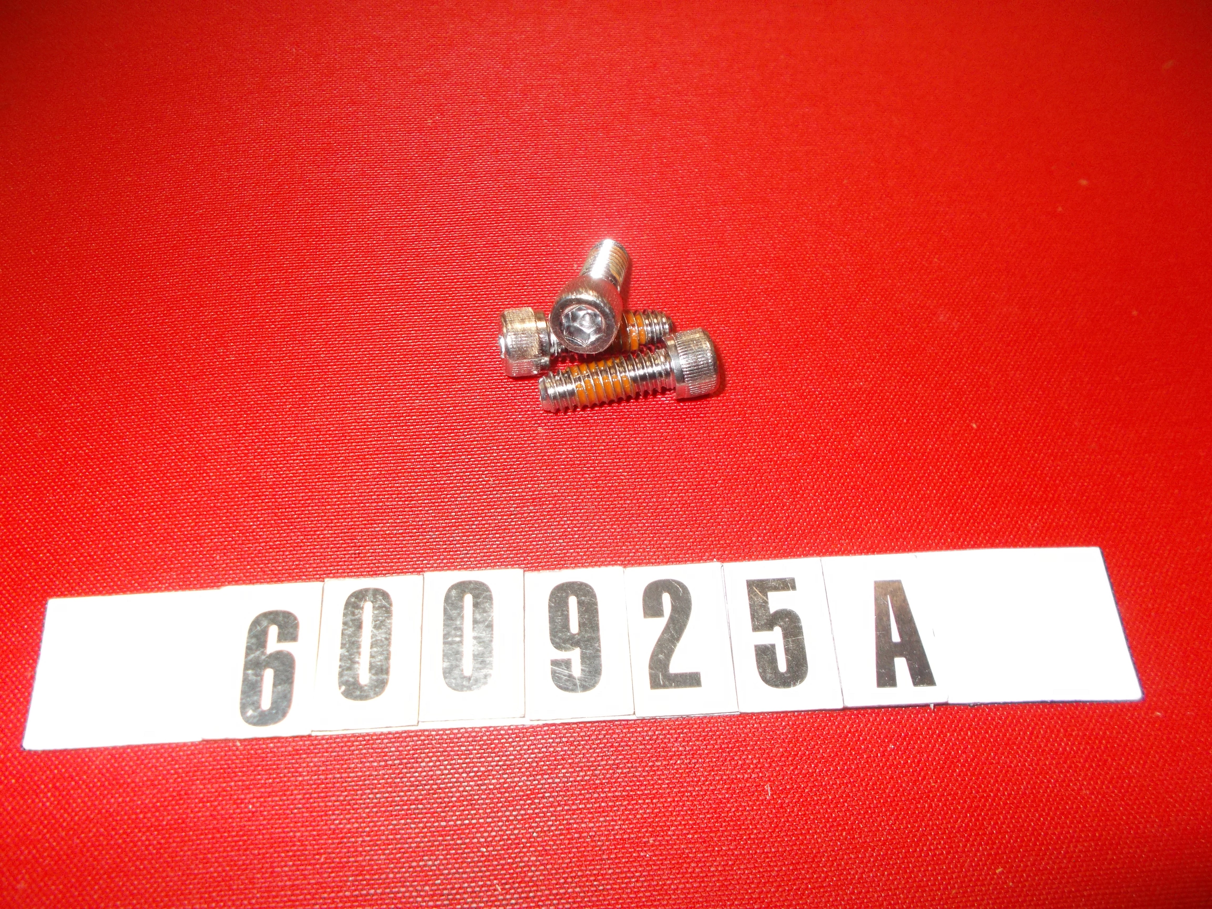 BOLT-1/4-20x3/4 SOC CAP 18-8 SS REVA