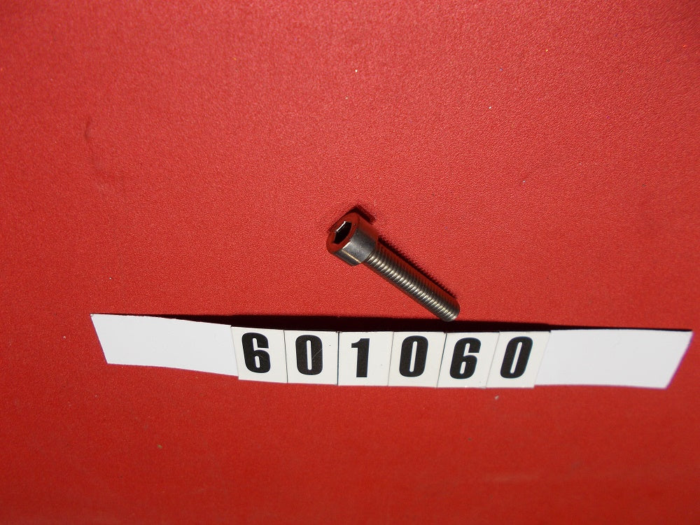 BOLT - M6 x 30 304 SS ALLEN HEAD