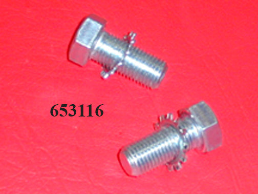BOLT - HEX HEAD w/WASHER TO MOUNT CALIPER 2 PER '02